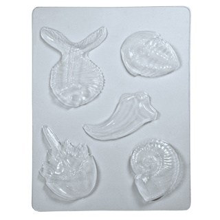 Fossil Molds