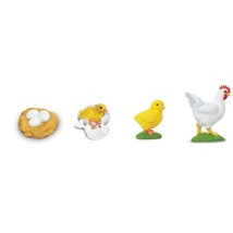 Life Cycle of A Chicken Figurines