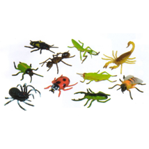 Insect Collection, Set of 10