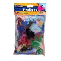Feathers, Bright Colours 