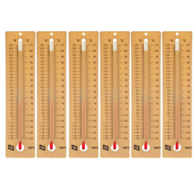Student Thermometers, Set of 6