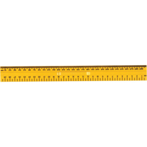 Junior Ruler, 30cm, Set of 10