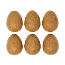 Sensory Sound Eggs, Set of 6