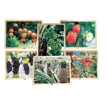 Growing Up Green Healthy Eating Fruit Puzzles