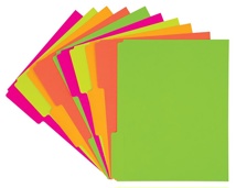 Fluorescent File Folders, 10 Pieces