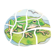 Lifecycle of a Frog Layer Puzzle