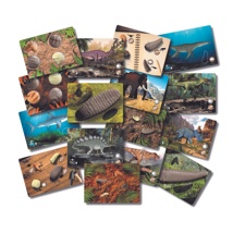 Prehistoric Teeth, Explore and Discover Activity Cards, Set of 16