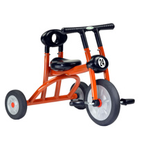 Pilot 200 Single Seat Tricycle