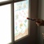 Crayola Window Writers Washable Markers, Set of 10