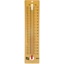 Student Thermometer 