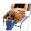 Puppy Weighted Sensory Lap Pad, 5lbs